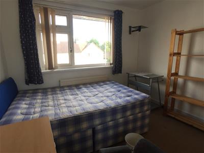 Picture 13